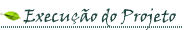Execu��o do Projeto